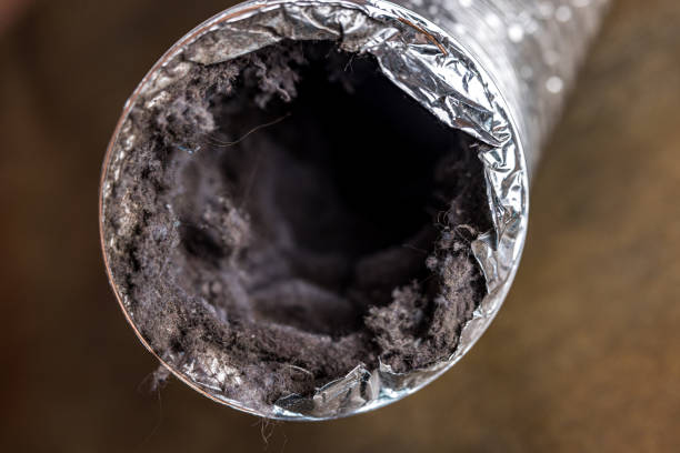 Best Affordable Duct Cleaning Services  in Rutland, VT